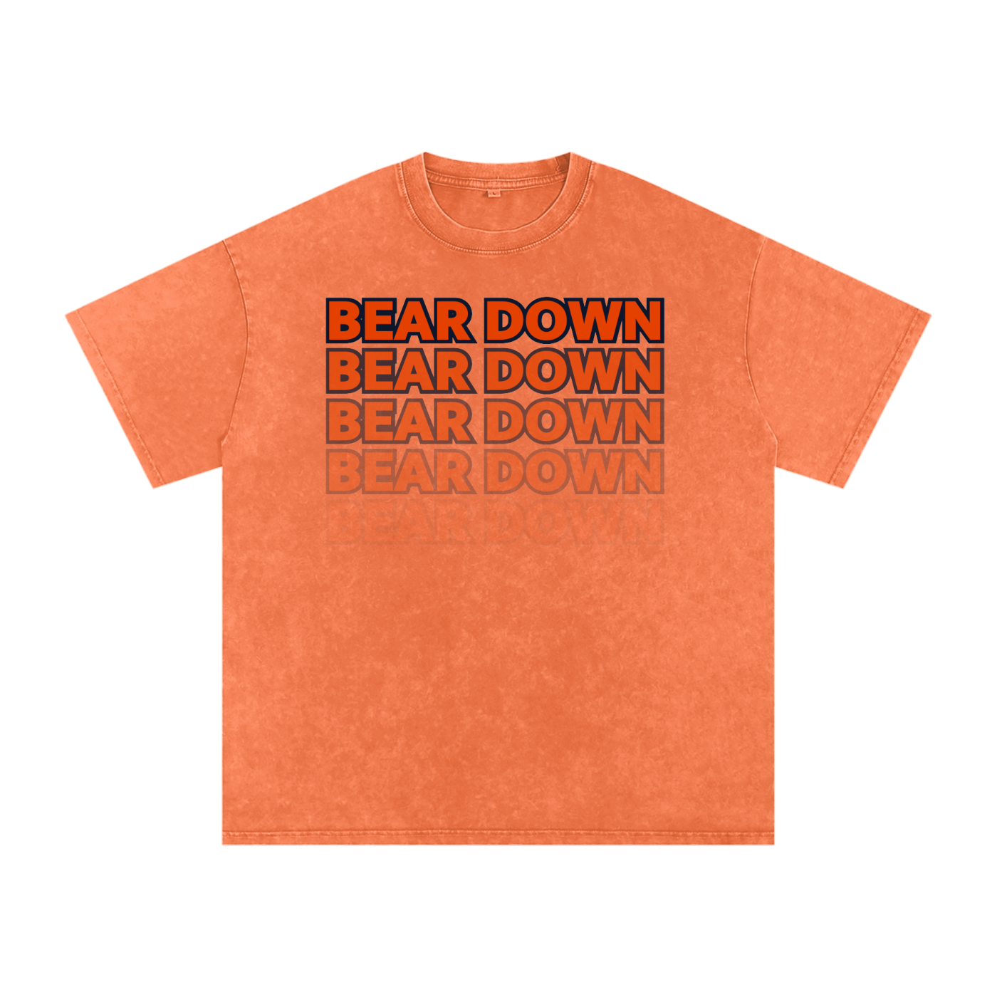 Bear Down Washed Oversized T-Shirt